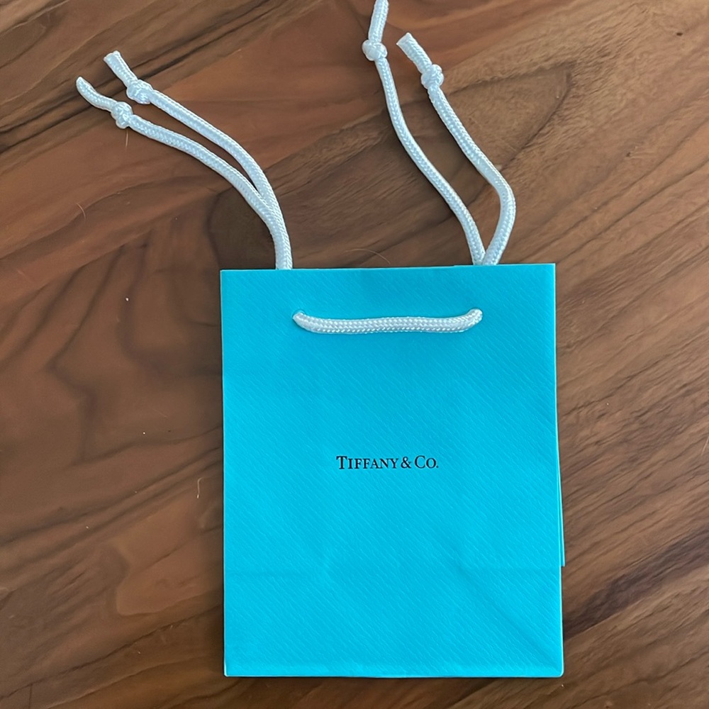 Authentic Tiffany & Co. shopping bag